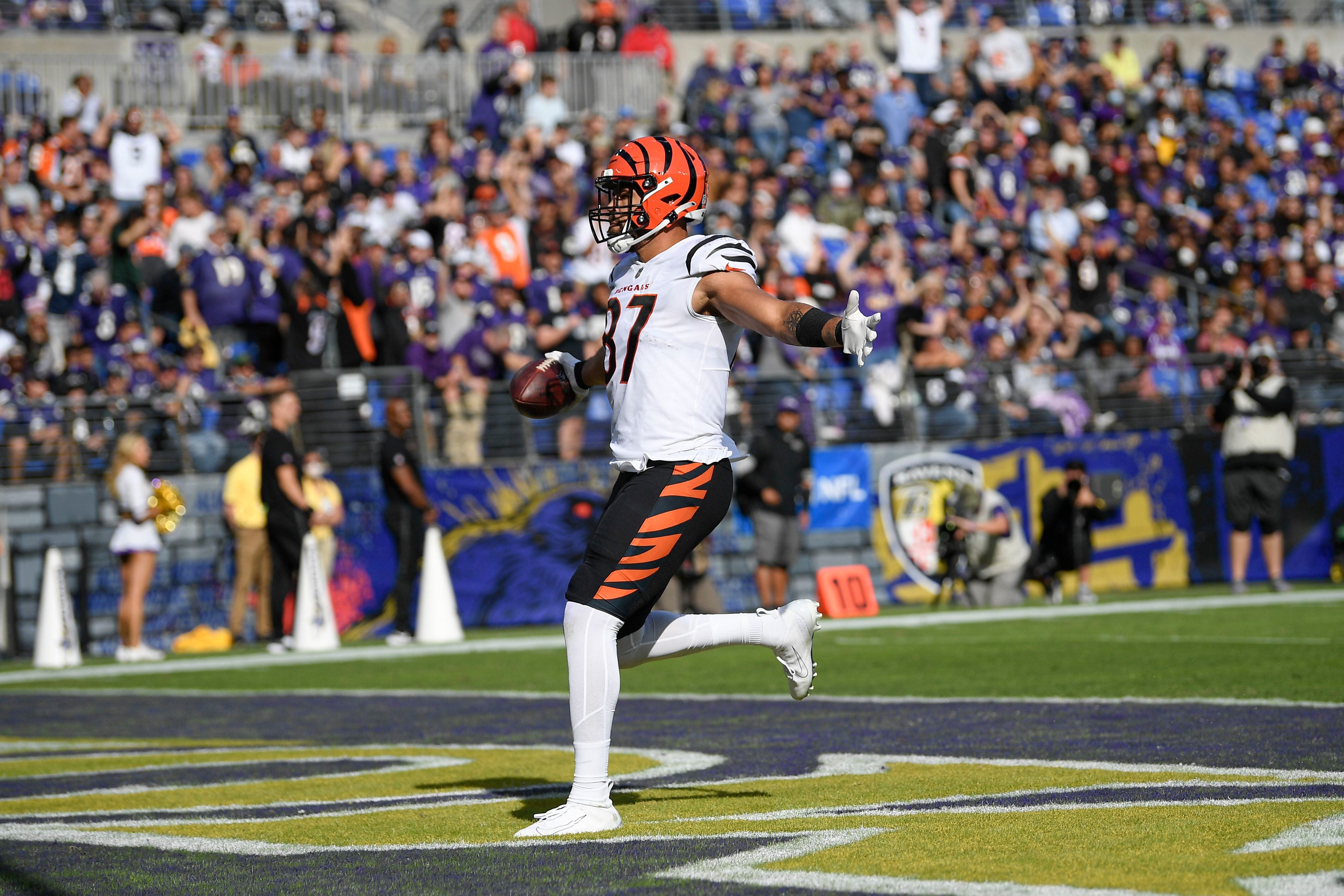 Photo Gallery: Bengals at Ravens Best Images