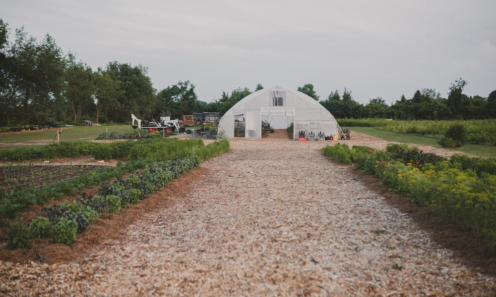 Oak & Ember Farms is a 36-acre regenerative farm with a 5-acre lake at 2645 Olt Road in Jefferson Twp. CONTRIBUTED PHOTO