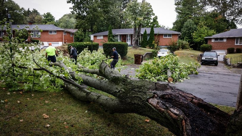 Harrison Twp. employees remove a Sugar Maple from Bennington Drive that fell from high winds.Jim Noelker/Staff