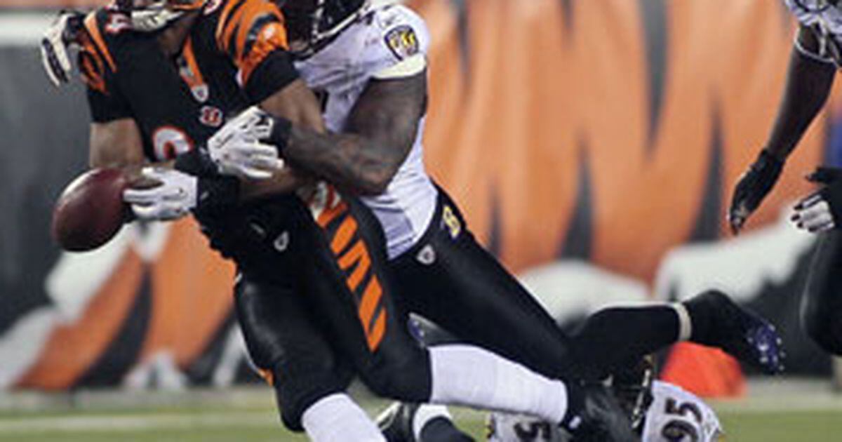 Ravens vs. Bengals score: Baltimore defense dominates with three turnovers  in blowout win over Cincinnati 