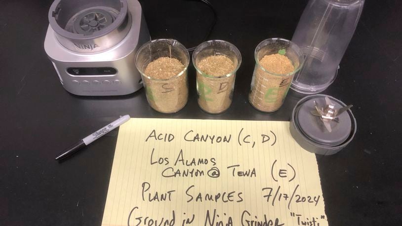 This July 21, 2024, image provided by Michael Ketterer shows vegetation from Acid Canyon and lower Los Alamos Canyon near Los Alamos, N.M., after being milled as part of a sampling project. (Michael Ketterer via AP)