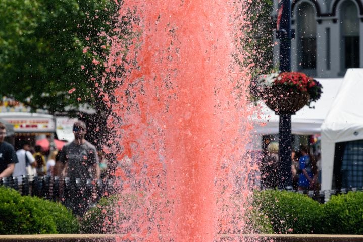 PHOTOS: 48th annual Troy Strawberry Festival