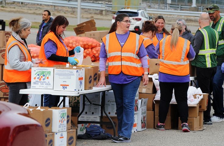 mass food distribution