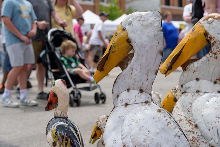 PHOTOS: 48th annual Troy Strawberry Festival