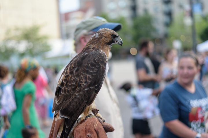 PHOTOS:  Passport to MetroParks at RiverScape MetroPark