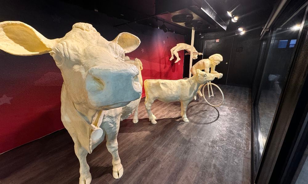 The traditional butter cow and calf are sporting butter medallions in this years butter display at the Ohio State Fair (CONTRIBUTED PHOTO).