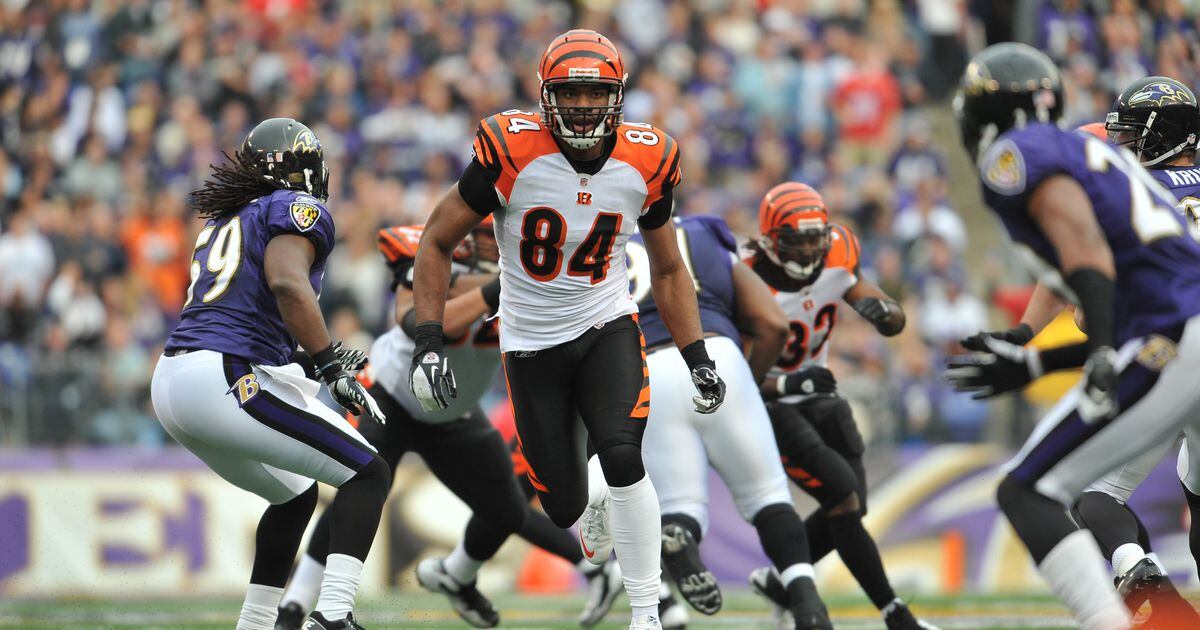 Baltimore Ravens vs Cincinnati Bengals Football Tickets M&T Bank Stadium  MD, M&T Bank Stadium, Baltimore, November 16 to November 17