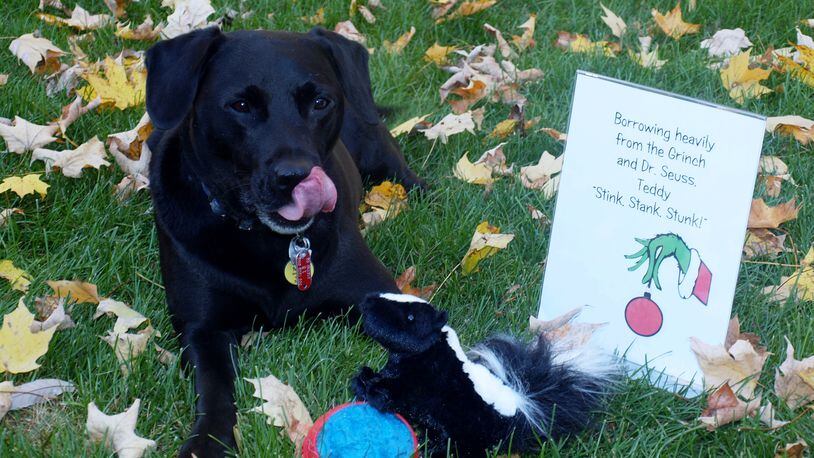 The story of the skunk that was found at a Browns game… 