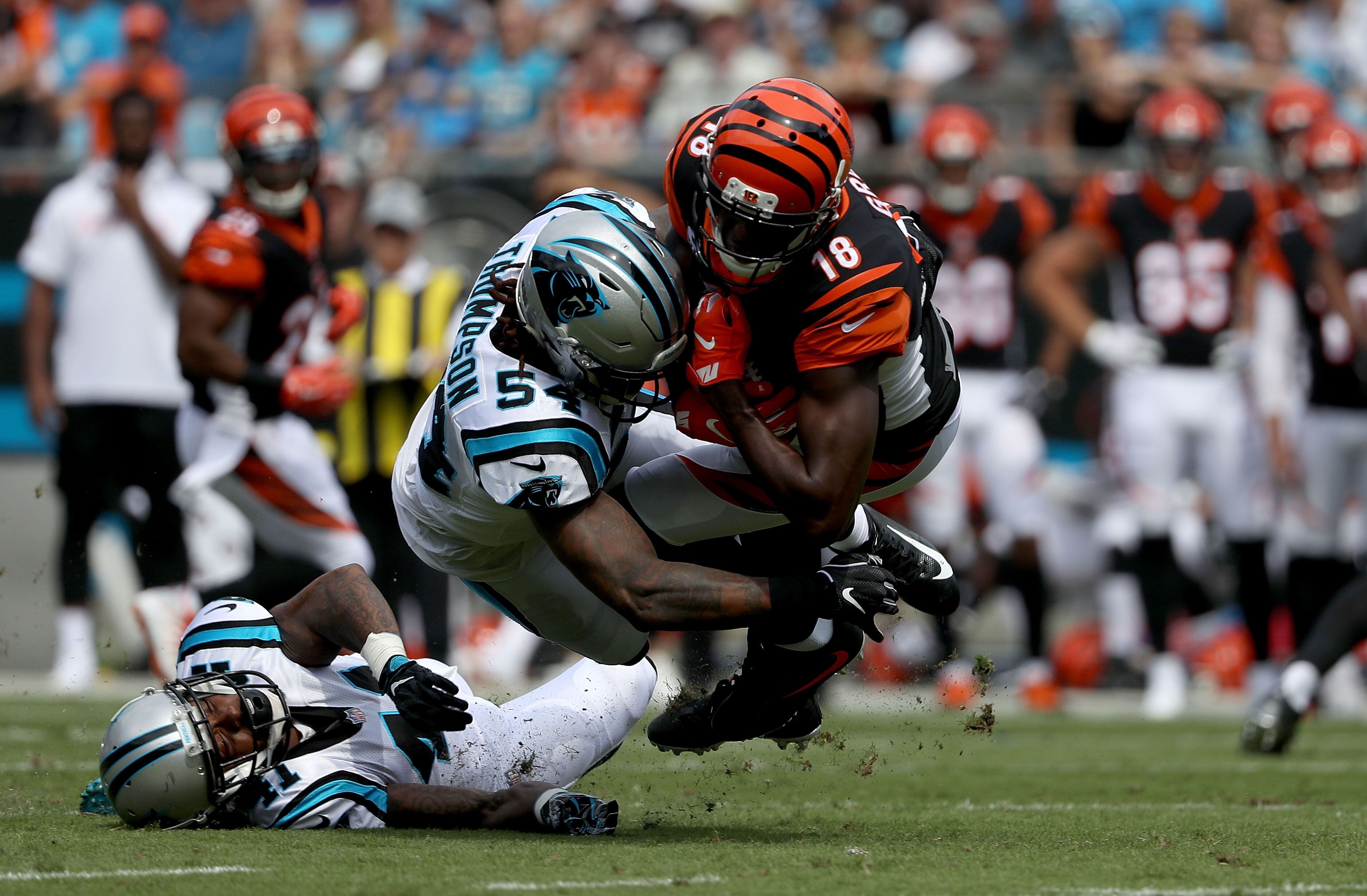 Cincinnati Bengals vs. Carolina Panthers