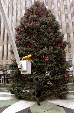 Preparing area holiday displays