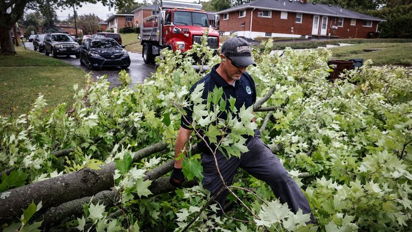 Harrison Twp. employees remove a Sugar Maple from Bennington Drive that fell from high winds.Jim Noelker/Staff