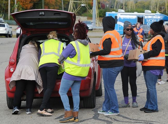 mass food distribution