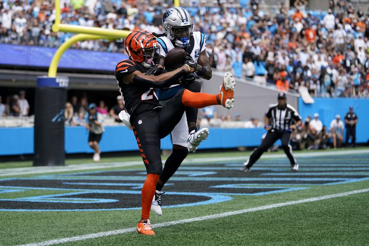 Bengals Panthers Football