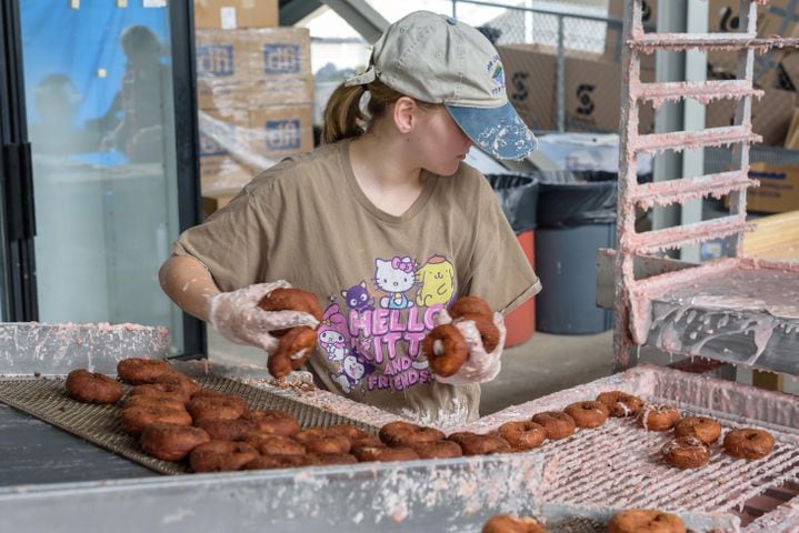 PHOTOS: 48th annual Troy Strawberry Festival