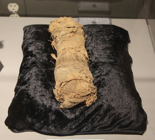 PHOTOS: Nesiur, Dayton’s mummy, is on display in the new Ancient Egypt exhibit at the Boonshoft Museum of Discovery