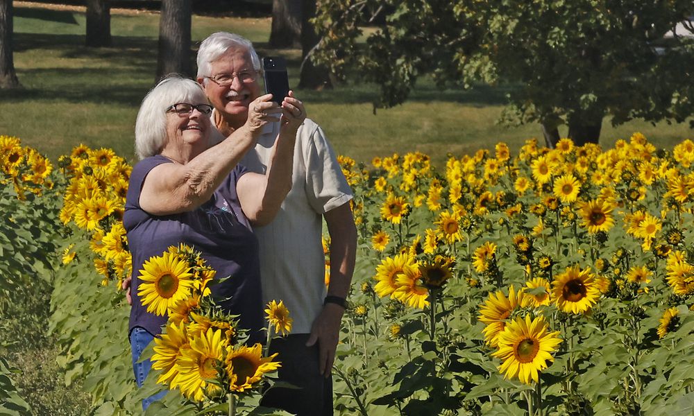 Steve and Janet Frederick take a selfie in the middle of the Yellow Springs sunflower field Monday, Oct. 2, 2023. BILL LACKEY/STAFF