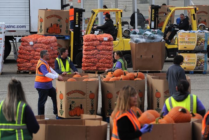 mass food distribution