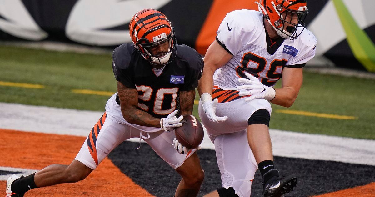 Tight Ends Could Be Bigger Part Of Bengals Offense 9148