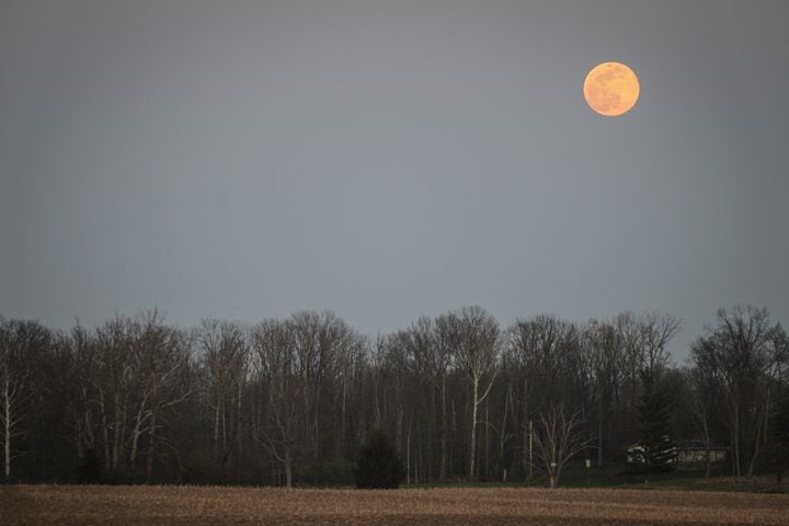 Pink supermoon above Miami Valley