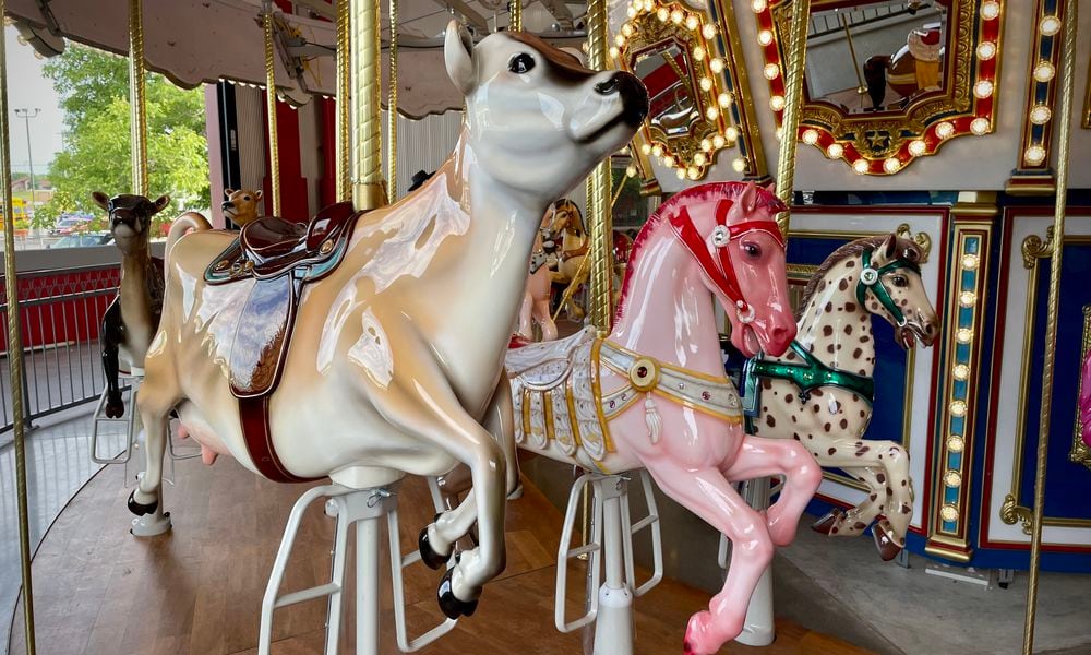 The debut of âCowtherineâs Carouselâ at Youngâs Jersey Dairy is just around the corner. The 36-foot carousel featuring 21 horses, six Jersey cows, one pig, one goat and a rooster will open to the public at 7:30 p.m. on July 11. Each animal is hand painted and the horses are decorated to represent Youngâs Homemade Ice Cream colors. NATALIE JONES/STAFF