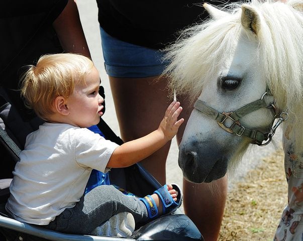 Montgomery County Fair