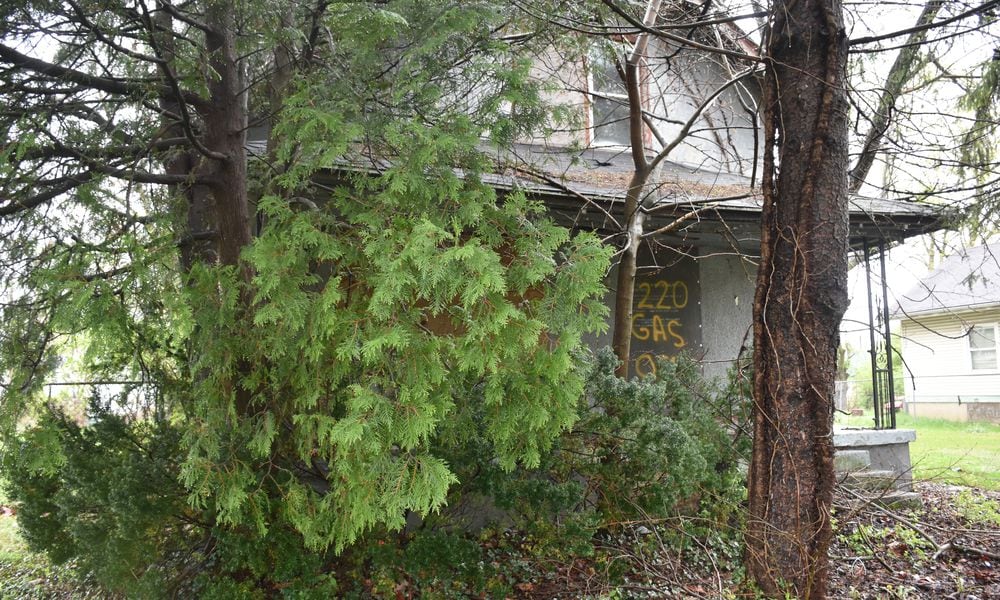 The city of Dayton plans to remove overgrown vegetation in front of this home in West Dayton. CORNELIUS FROLIK / STAFF