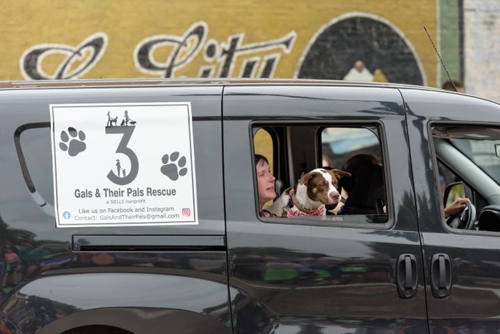 PHOTOS: 2024 Tipp City Mum Festival Parade