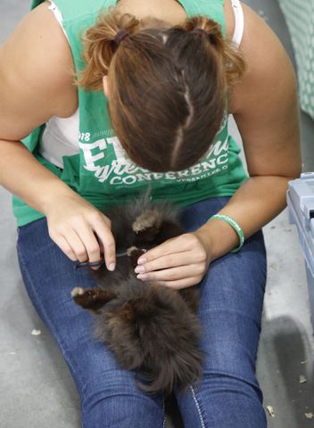 PHOTOS: First-day fun at the Montgomery County Fair