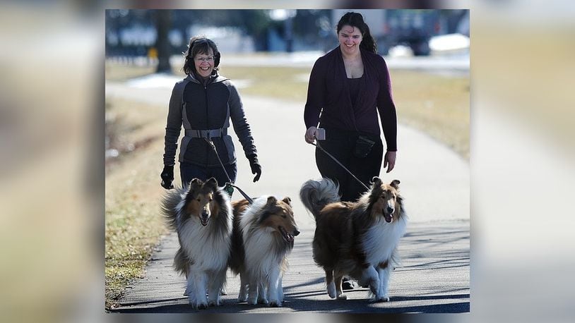 Barb Denen, left, and her daughter Tiffany Denen, walk their collies, from left, Toby, Jax and Trig along the bike path Monday, Feb. 19, 2024, in Xenia. MARSHALL GORBY\STAFF