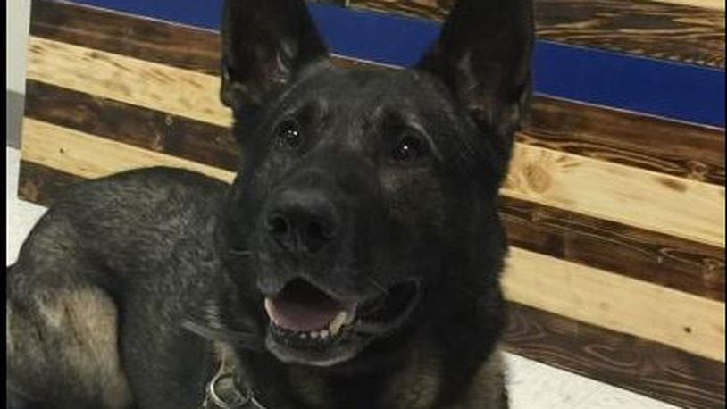 Franklin police K-9 Colt will take his last ride on Wednesday. The police dog was retired after seven years of service in October 2020 and has been living at the home of his handler. for the past several months, the dog's health had been deteriorating and affecting his quality of life. CONTRIBUTED/FRANKLIN DIVISION OF POLICE