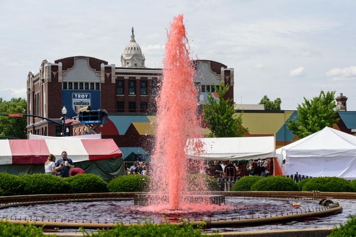 PHOTOS: 48th annual Troy Strawberry Festival