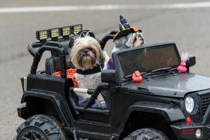 PHOTOS: 2024 Tipp City Mum Festival Parade