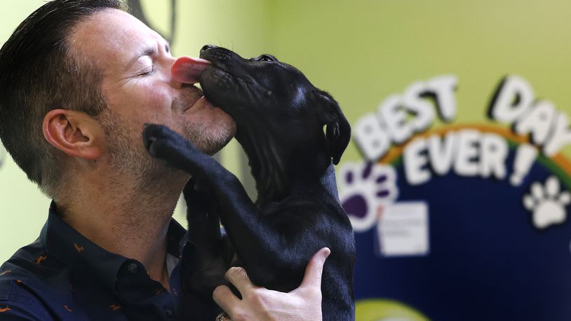 SICSA CEO, Jack Omer gets love from a cute puppy at the SICSA Pet Adoption and Wellness Center. MARSHALL GORBY\STAFF