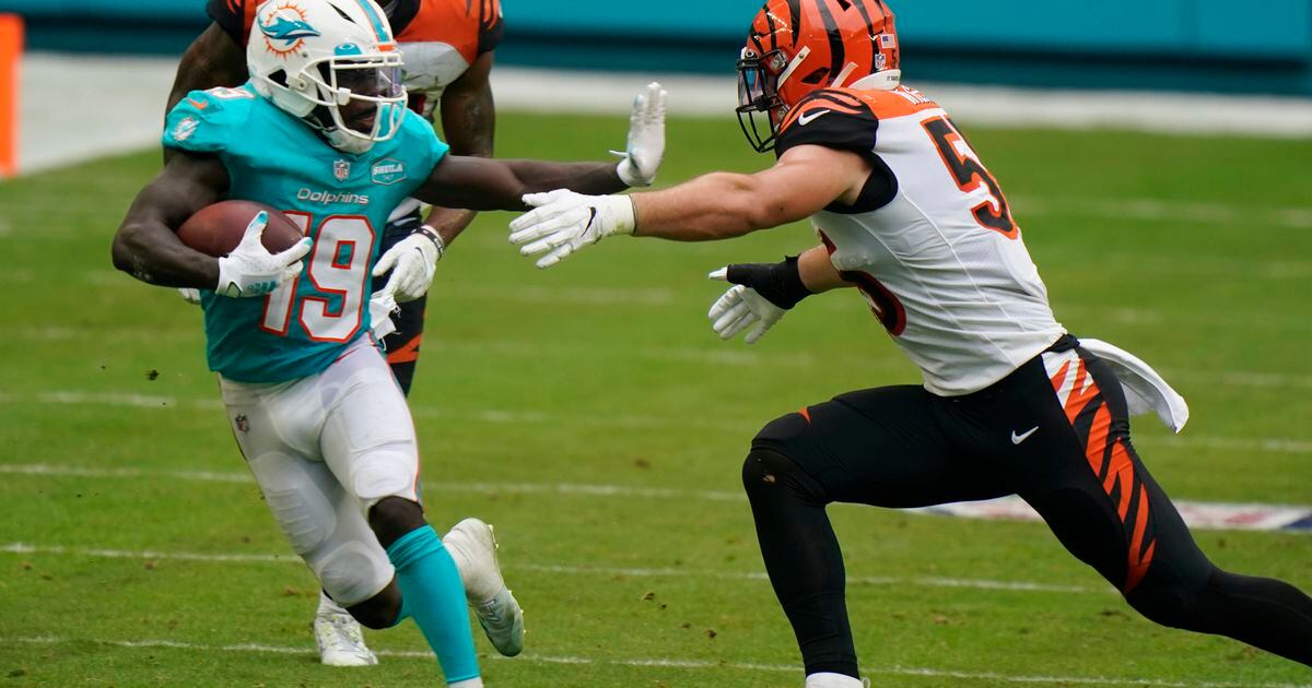 Logan Wilson's Impact In Year Two - Bengals-Talk