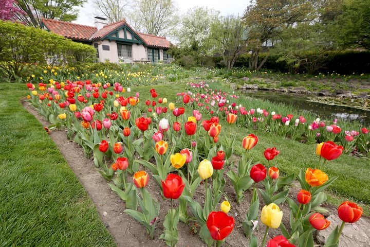 Reds and Bengals tickets in Bloom Auction