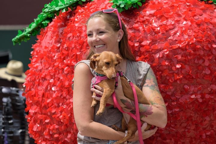 PHOTOS: 48th annual Troy Strawberry Festival