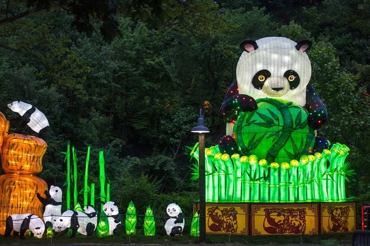 Asian Lantern Festival lights up zoo with 40 interactive displays