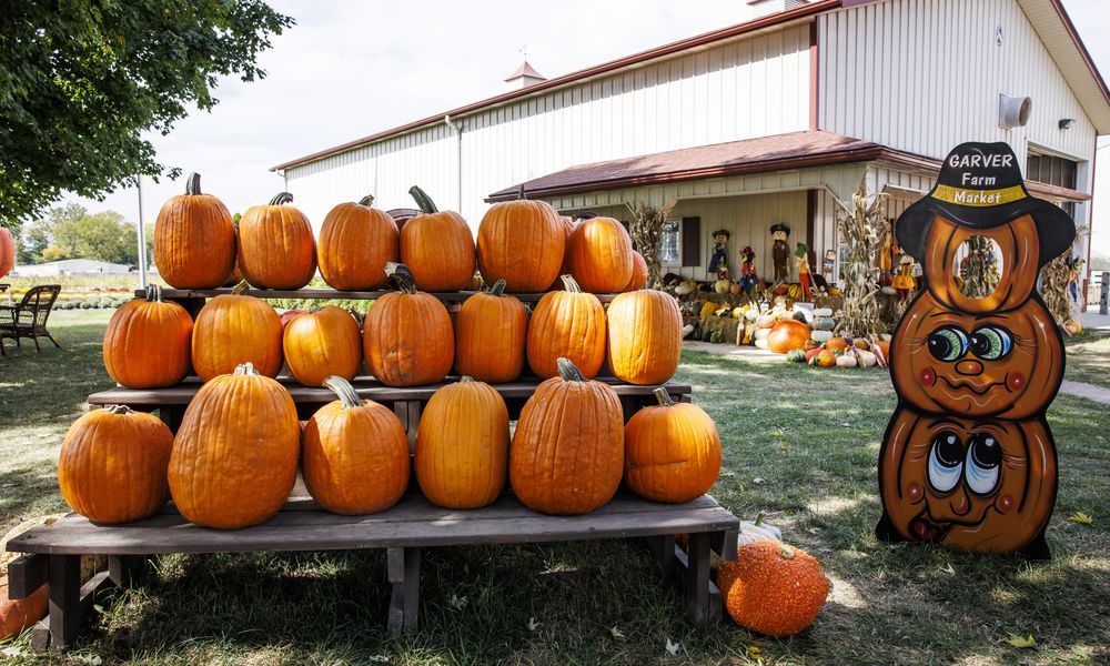 Garver Family Farm. NICK GRAHAM/STAFF