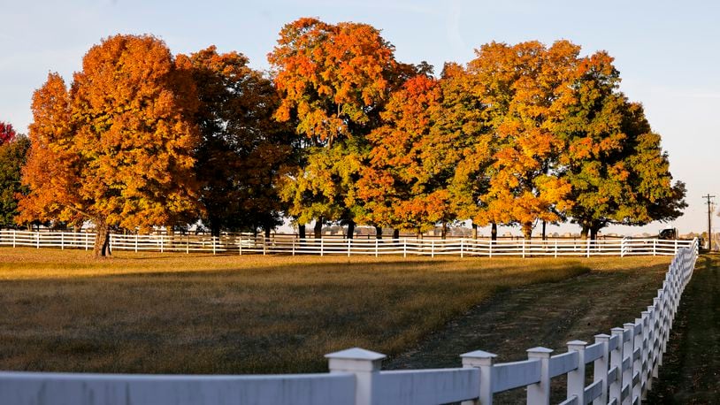 Many leaves on trees have changed color providing vibrant scenery throughout Butler County. NICK GRAHAM/STAFF