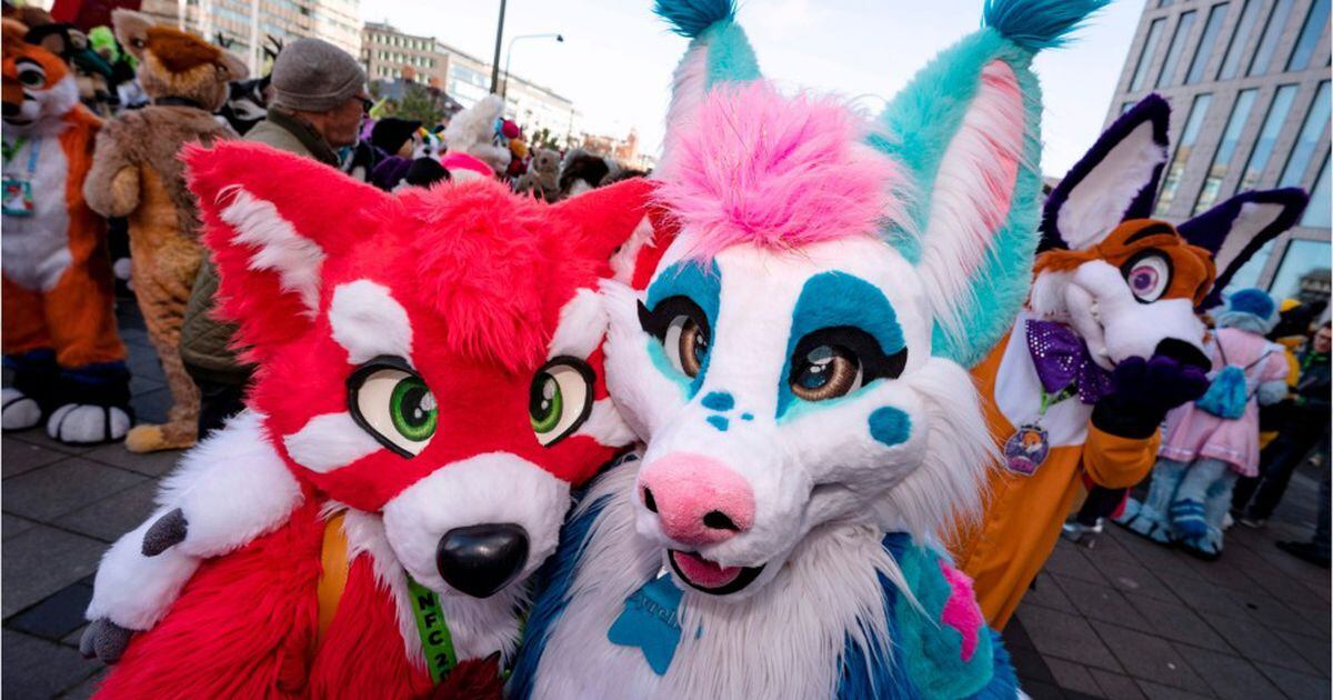 Photos: Furry fans unleash cuteness at Mariners' Bark at the Park