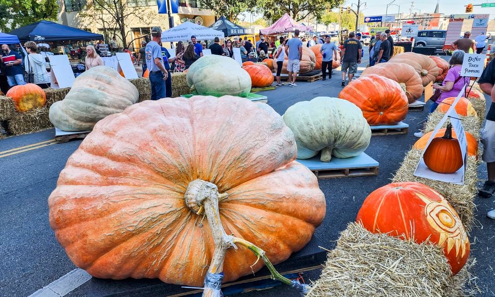 Visitors check out vendor booths, food and beer trucks, and pumpkins of all shapes and sizes on High Street during Operation Pumpkin Friday, Oct. 13, 2023 in downtown Hamilton. NICK GRAHAM/STAFF