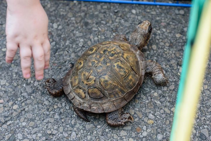 PHOTOS:  Passport to MetroParks at RiverScape MetroPark