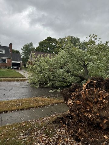 Helene wind damage Kettering