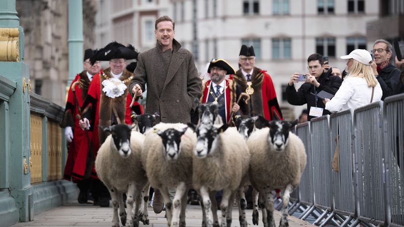 Damien Lewis drives sheep over Southwark Bridge, London, in the 11th London Sheep Drive, in London, Sunday, Sept. 29, 2024. (James Manning/PA via AP)