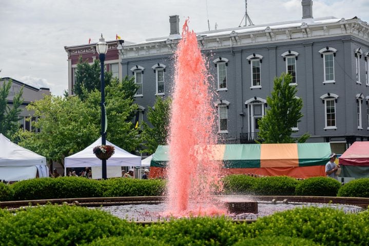 PHOTOS: 48th annual Troy Strawberry Festival