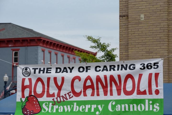 PHOTOS: 48th annual Troy Strawberry Festival