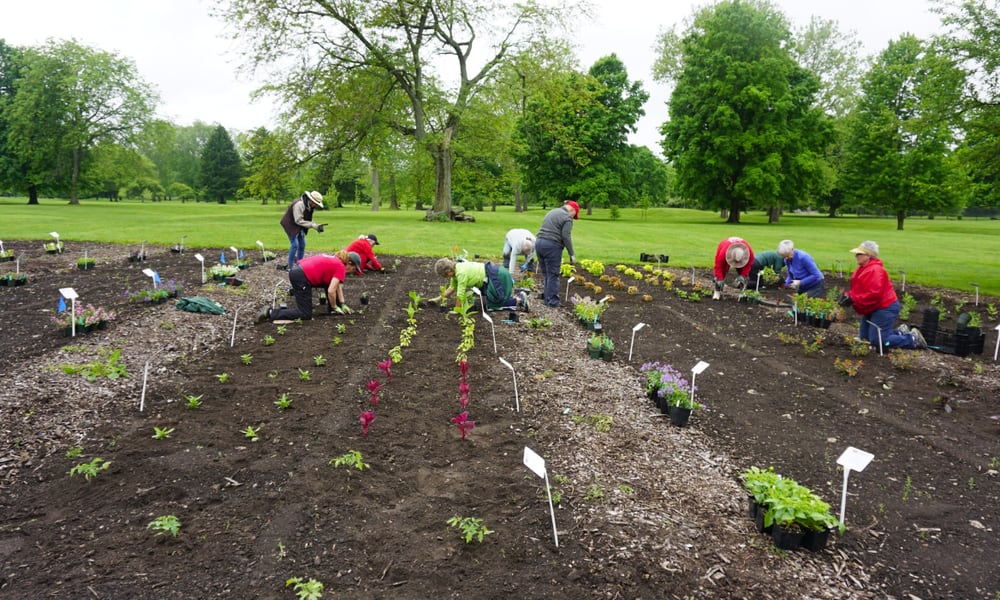 Volunteers plant Cultivar Trials at the Snyder Park Gardens & Arboretum in Springfield. CONTRIBUTED