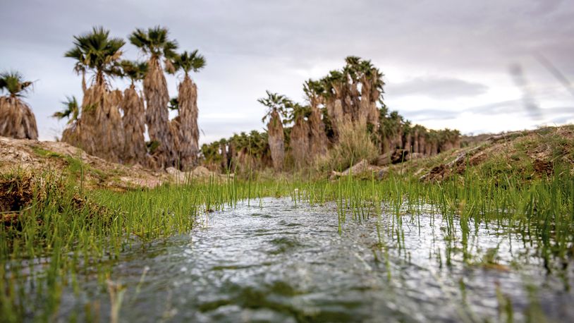 This photo provided by the environmental group Earthjustice shows Ha'Kamwe', a sacred spring near Wikieup, Ariz., March 5, 2022. (Ash Ponders/Earthjustice via AP)