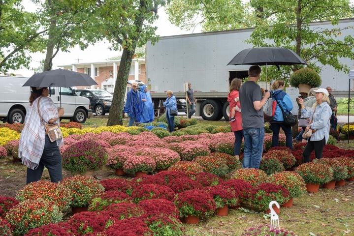 PHOTOS: 2024 Tipp City Mum Festival Parade