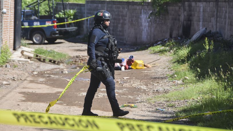 Police work in the area where bodies lie on the ground in Culiacan, Sinola state, Mexico, Tuesday, Sept. 17, 2024. (AP Photo)